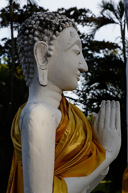 Wat Yai Chai Monkon-068